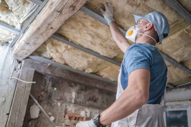 Best Insulation Maintenance and Repair in Trooper, PA